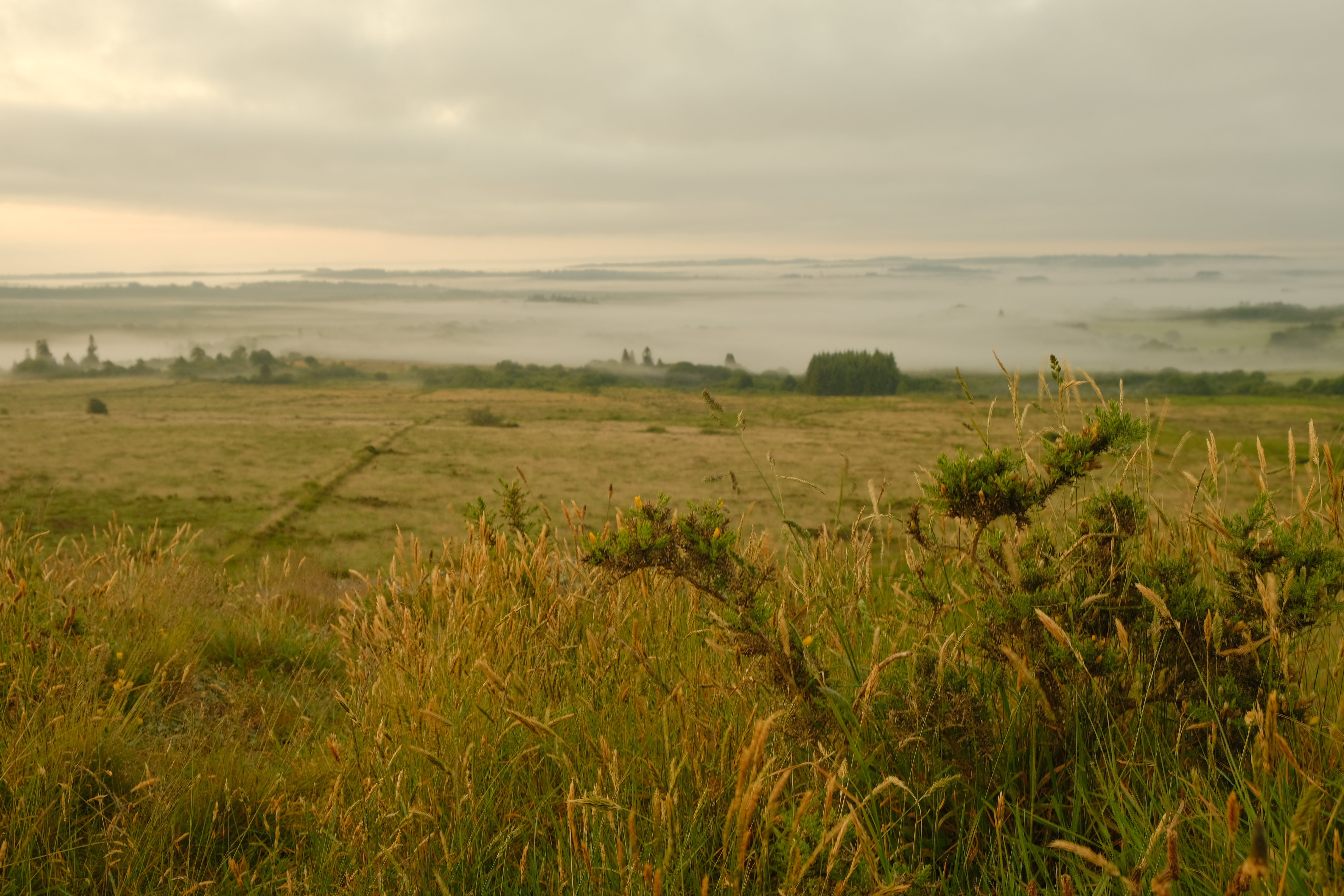 Paysage brumeux